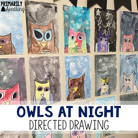 directed drawing owl